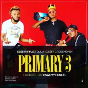 Sese Tripple - Primary 3 (ft. Crossmoney & Quda kossi)